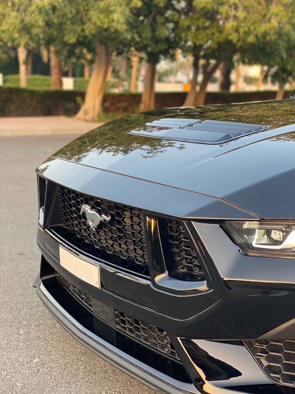 Mustang GT V8 rental in Dubai